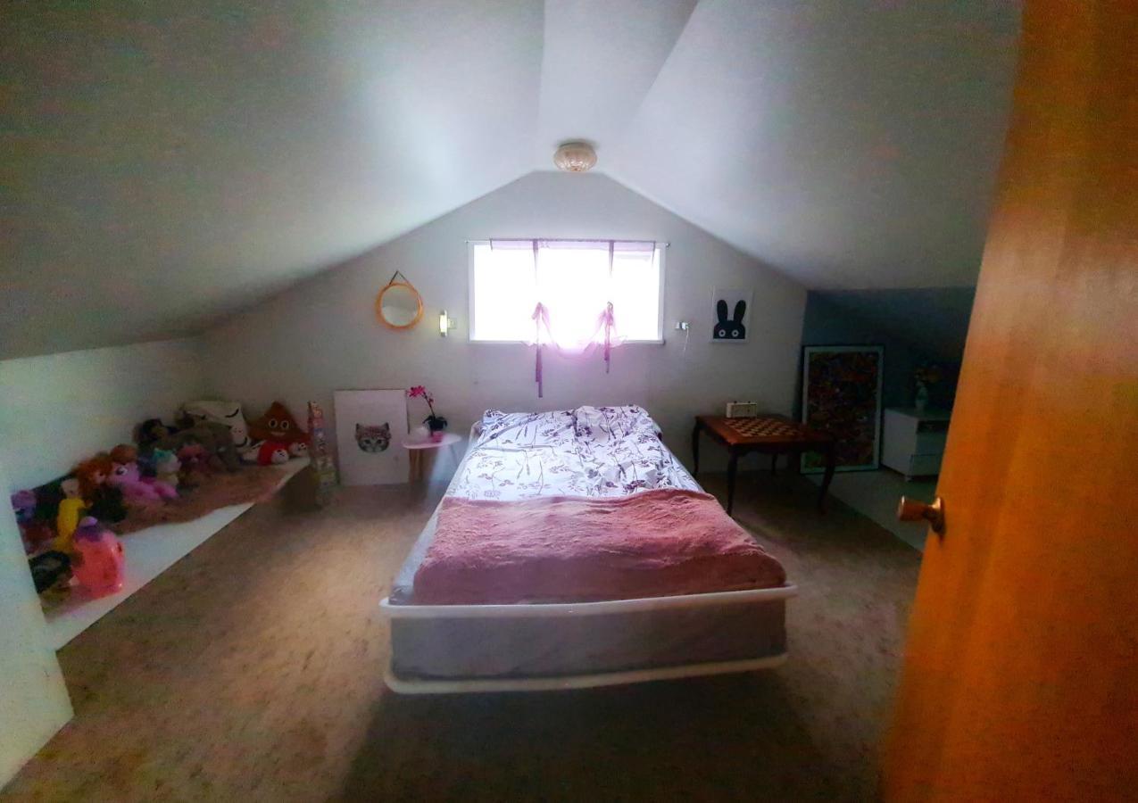 Holkot Scenic Farm Villa Húsavík Esterno foto