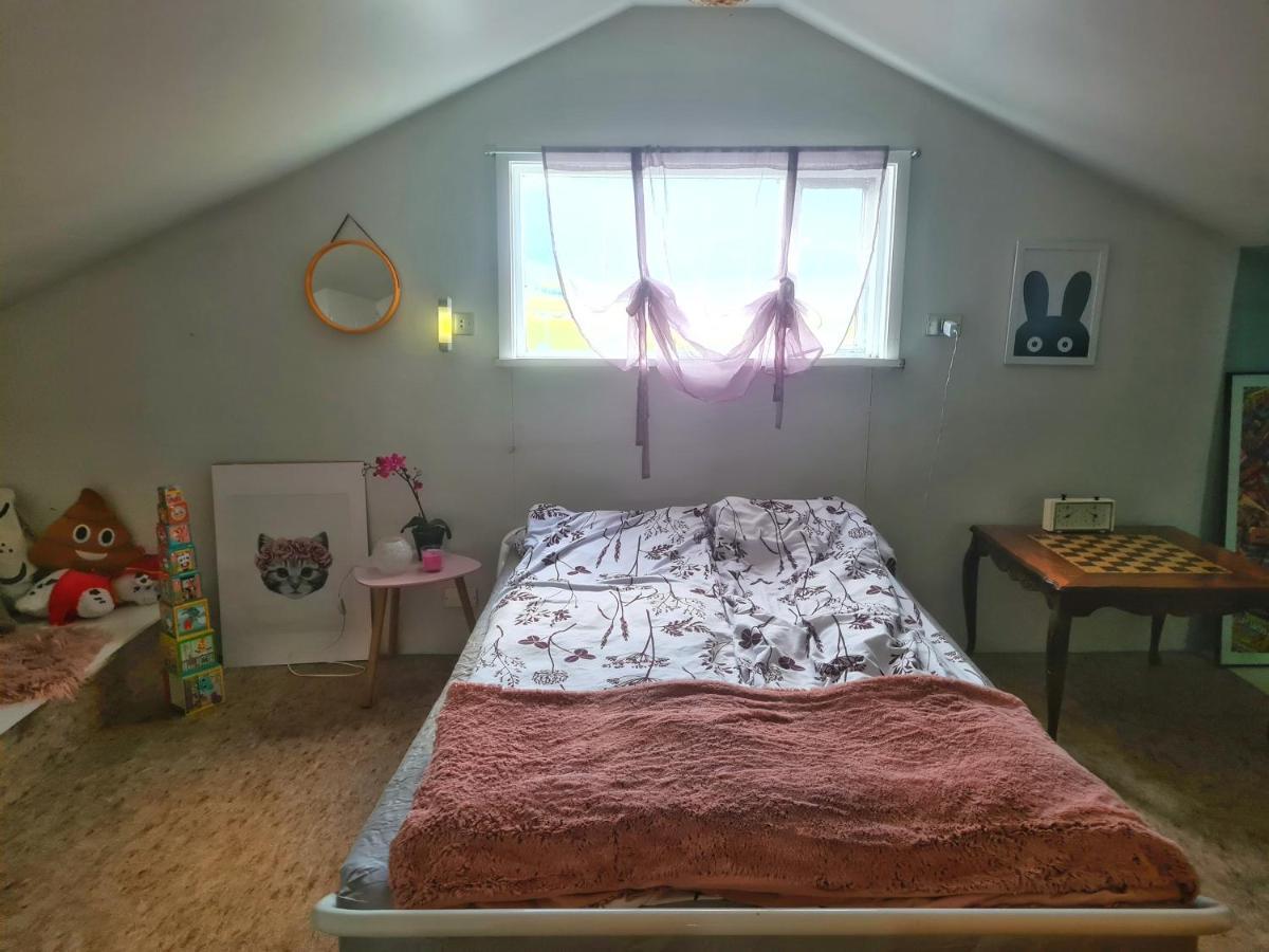 Holkot Scenic Farm Villa Húsavík Esterno foto